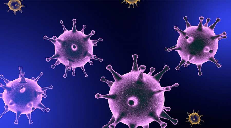 Virus de Inmunodeficiencia Humana, síntomas y tratamiento| Noticias